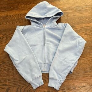 Aritzia sweatshirt